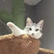 ゆうの画像