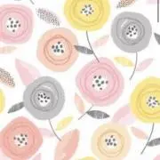 ゃッちょの画像