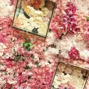 売り尽くしセールの画像
