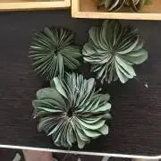 an ⁎ tiara