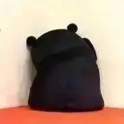 たけのこの画像
