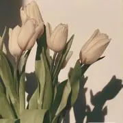mimi☺︎の画像