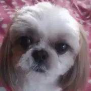 あっちゃ♡