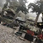 sy-‼︎の画像
