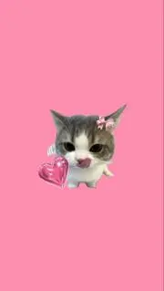 ひめちゃん