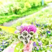 ハッピー太郎の画像
