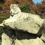 なないろ