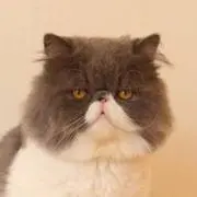 秋　値下げ交渉承ります！の画像