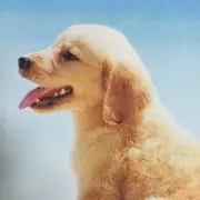 あおのハナ断捨離中の画像