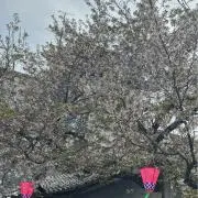 寿