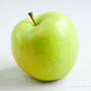 あざらしの画像