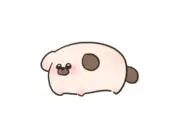 ゆむの画像