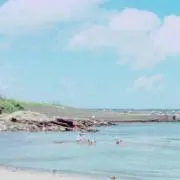うえＰの画像