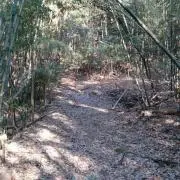 ネーム