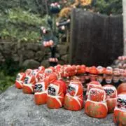 pinoの画像