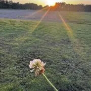 miniminの画像
