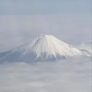山おろしの画像