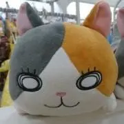 まゆまゆの画像