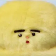 maru9の画像