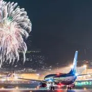 蒼の画像