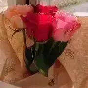 射程圏内（必ずプロフ読んでね♡）