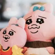 ゆずりはの画像