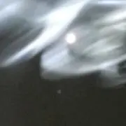 タケ