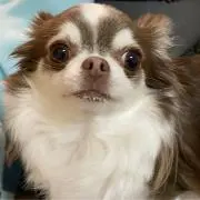 うたぴの