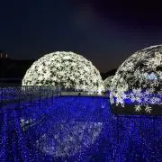 みるきーの画像