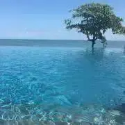 なつぽんの画像