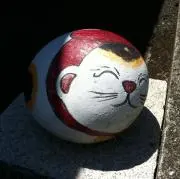 猫丸の画像