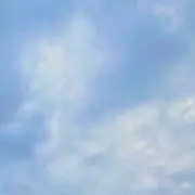 しおから/平日発送の画像