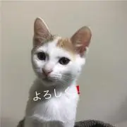 まみまみ
