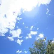 はおはお