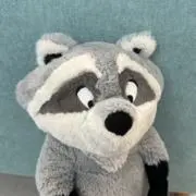ミーコの画像