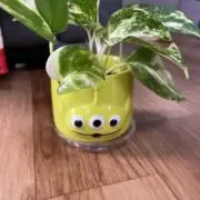 エメの画像