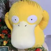 マシロの画像