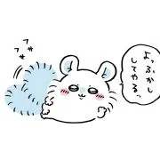 CNKYの画像