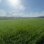 K.oofeeの画像
