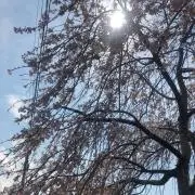 ケイ