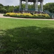 メルポイの画像