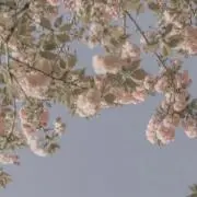 mun'sの画像