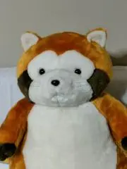 koochanの画像