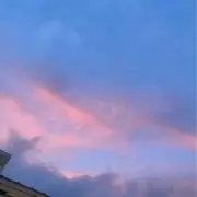 ムサシの画像