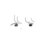 あおぞらの画像