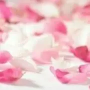 …たぴこ❥❥❥の画像