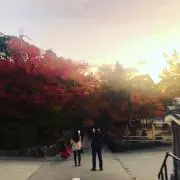 みきの画像