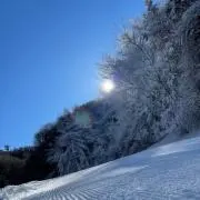 まひの画像