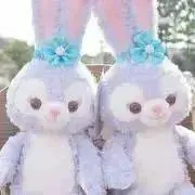 ☆ Lou-chan☆の画像