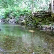 ちゃむちゃむの画像